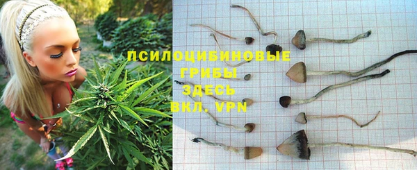 прущая мука Дмитровск