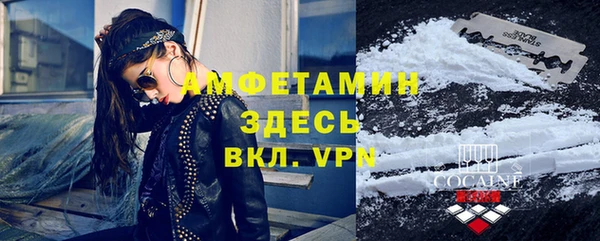 амф Дмитров