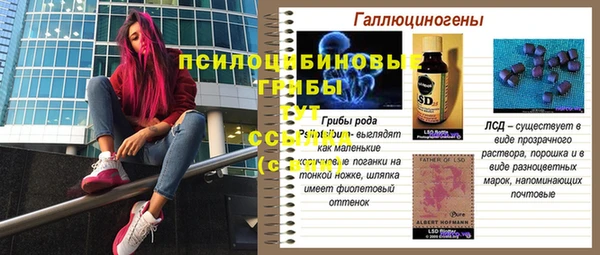 амф Дмитров