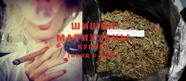 амф Дмитров