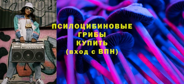 амф Дмитров